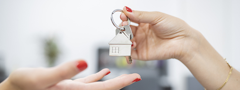 Buying property as cohabiting partners